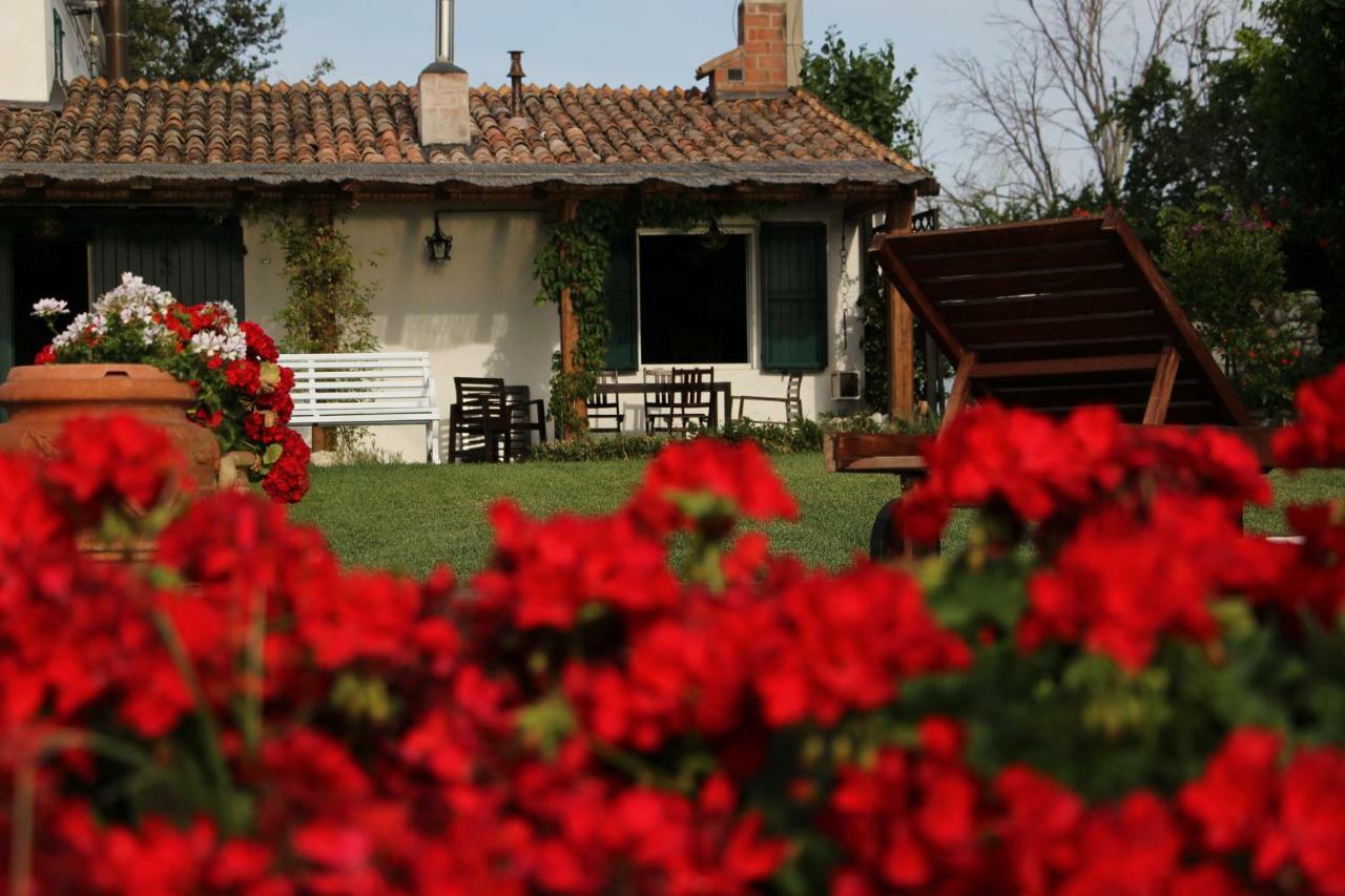 Casa S.Paolo Villa Rimini Dış mekan fotoğraf